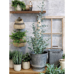 2ks zinkový antik box na květiny Vintage - 25*15*37cm