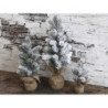 Zasněžený vánoční stromek jedle v jutě Fleur Fir Snow - 45cm