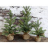 Zelený vánoční stromek v jutě Fleur Fir Tree - 27cm