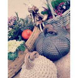 Latté antik dekorace dýně Pumpkin antique L - Ø 21*24 cm