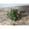 Vánoční zelená větvička se šiškami Fir Branch - 30cm