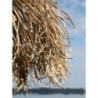 Bambusový slunečník se střechou z listů Parasol Bamboo Lyon - ∅ 160*240 cm