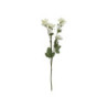 Dekorace umělá krémová květina Anemone cream - 72 cm