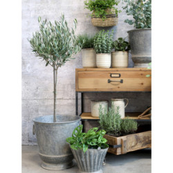 2ks kulatý plechový zinkový antik obal na květináč Planters - Ø 36*36/ Ø 31*30cm
