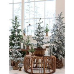 Zasněžený vánoční stromek jedle v jutě Fleur Fir Snow - 45cm