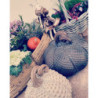 Mocca antik dekorace dýně Pumpkin antique L - Ø 29*25 cm