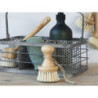 Dřevěný kartáč na mytí zeleniny Vegetable Brush - 6*9cm