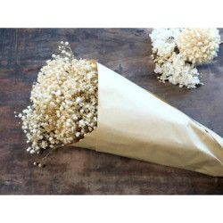 Dekorace sušená květina Baby's Breath Flowers - 77 cm