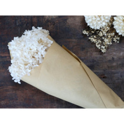 Bílá dekorace sušená květina hortenzie Hydrangea Flower - 60 cm