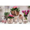 Skleněná dekorační váza s kovovým zdobením Hyacinth -  Ø 9*15cm