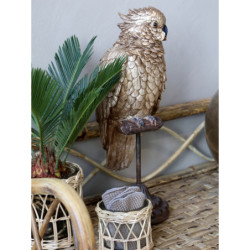 Bronzová dekorace papoušek na podstavci Parroté  - 12*12*37 cm