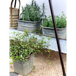 Set 3ks plechový zinkový antik obal na květináč Pintio - 21*21*17 cm