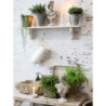 Set 3ks plechový zinkový antik obal na květináč Pintio - 21*21*17 cm