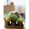 Set 3ks plechový obal na květináč s táckem Palli - Ø 10*12/ 36*12*5,5 cm