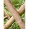 Přírodní bambusová židle Bamboo Lyon - 50*42*92 cm