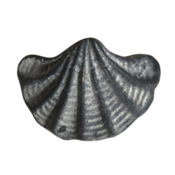 Šedá antik litinová úchytka mušle Shell - 6*4*4,5 cm