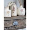 Šedá antik litinová úchytka mušle Shell - 6*4*4,5 cm