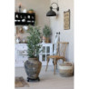 Přírodní dřevěná židle s ratanovým výpletem Old French chair - 50*53*90cm
