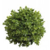 Dekorace umělá zelená koule Buxus - Ø 23cm