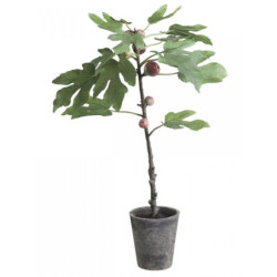 Dekorace umělý Fíkovník v keramickém květináči Old - 76cm