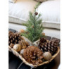 2ks dekorační podnos z březové kůry Birch Tray - 35*23*6 / 30*20*6 cm