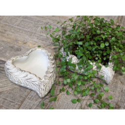 Bílo - zlatý antik cementový květináč ve tvaru srdce Vittel M - 17*15*6 cm