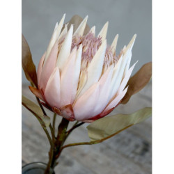 Dekorace květina Protea - 66 cm